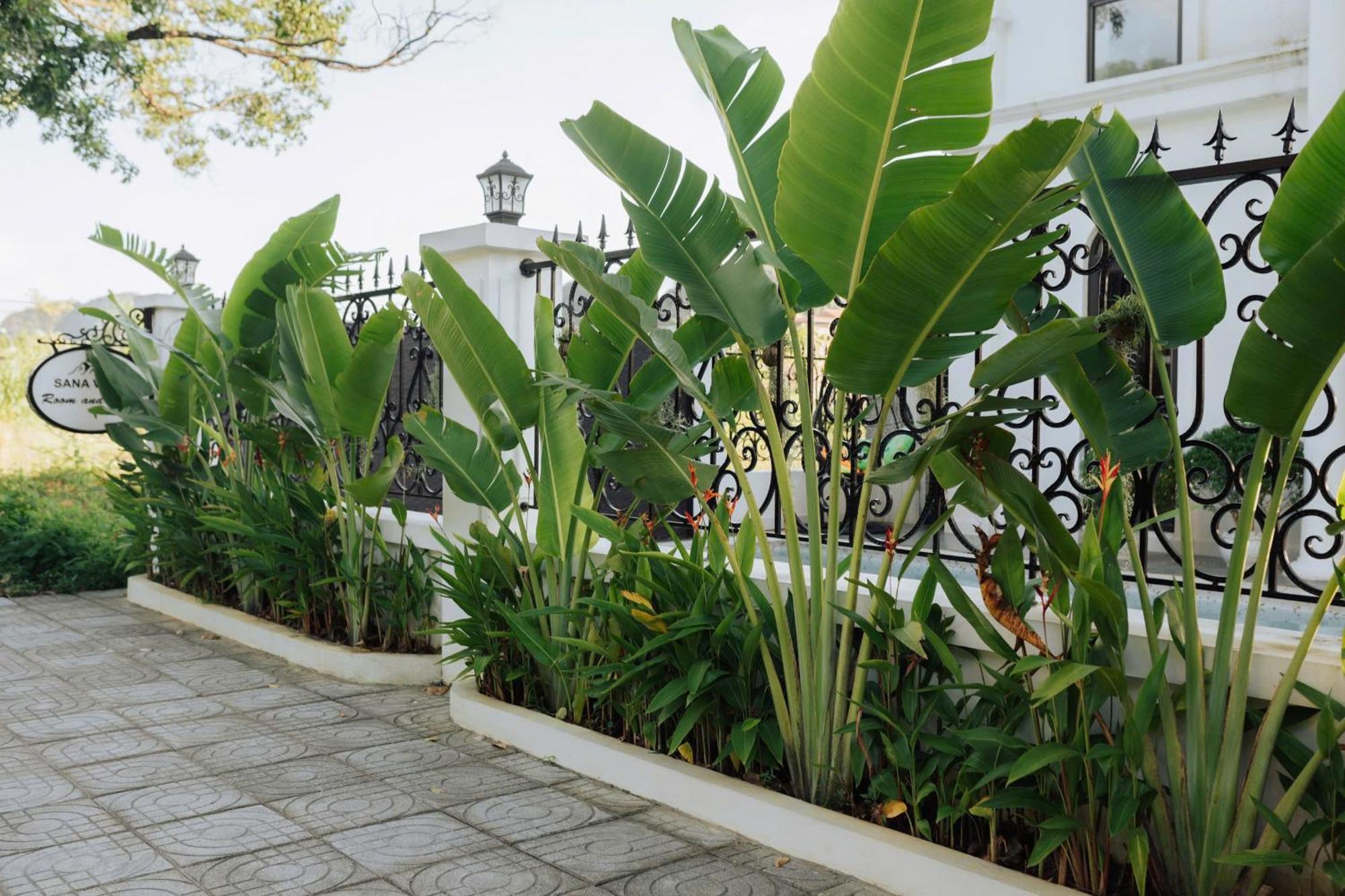 Tam Coc Sana Villa & Homestays Ninh Binh Exterior foto